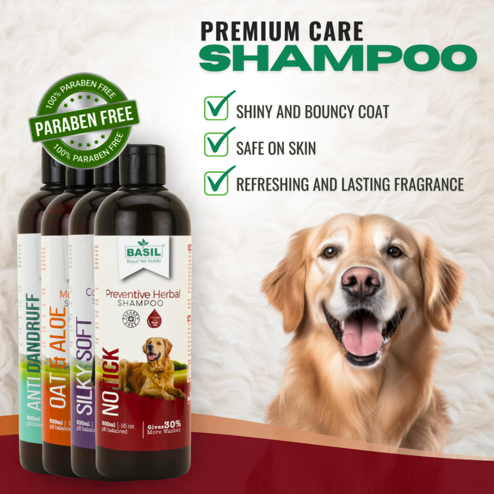 Basil Herbal No Ticks Dog Shampoo image 6