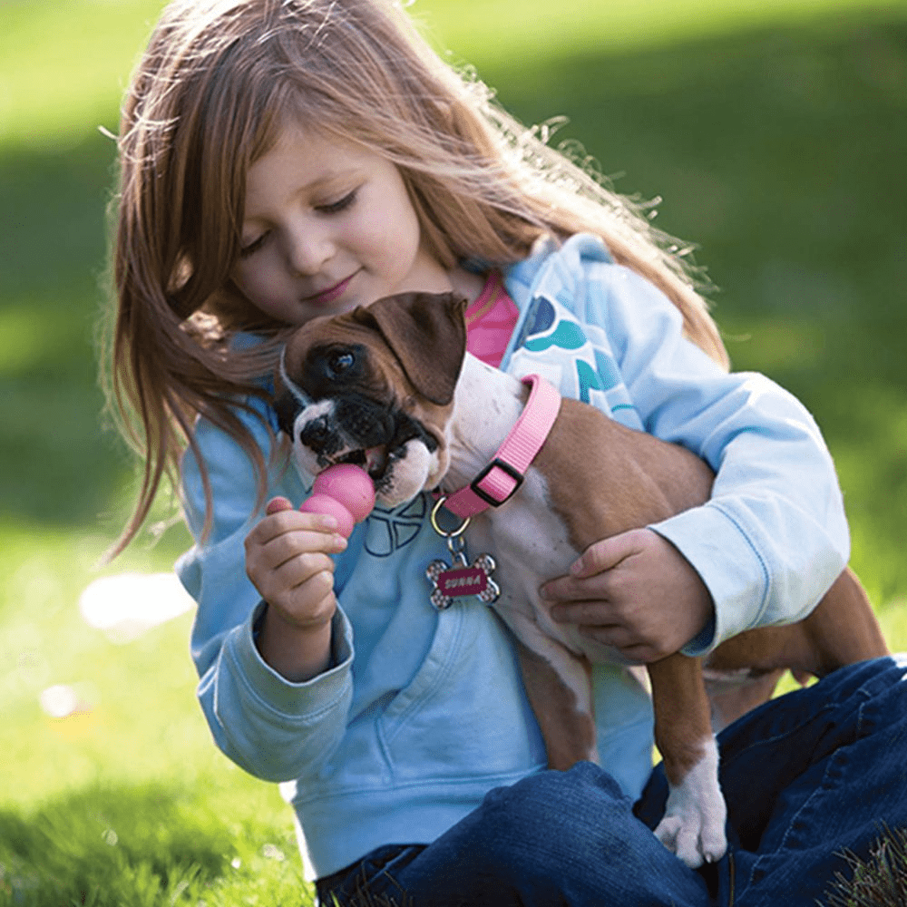 Kong Puppy Toy for Dogs (Pink) | For Aggressive Chewers image 7