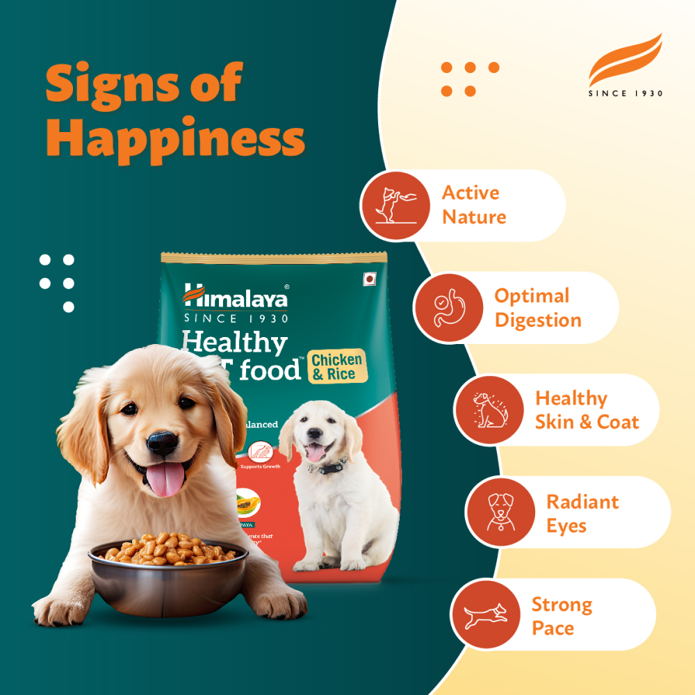 Himalaya Chicken & Rice Healthy Pet Puppy Dry Food image 7