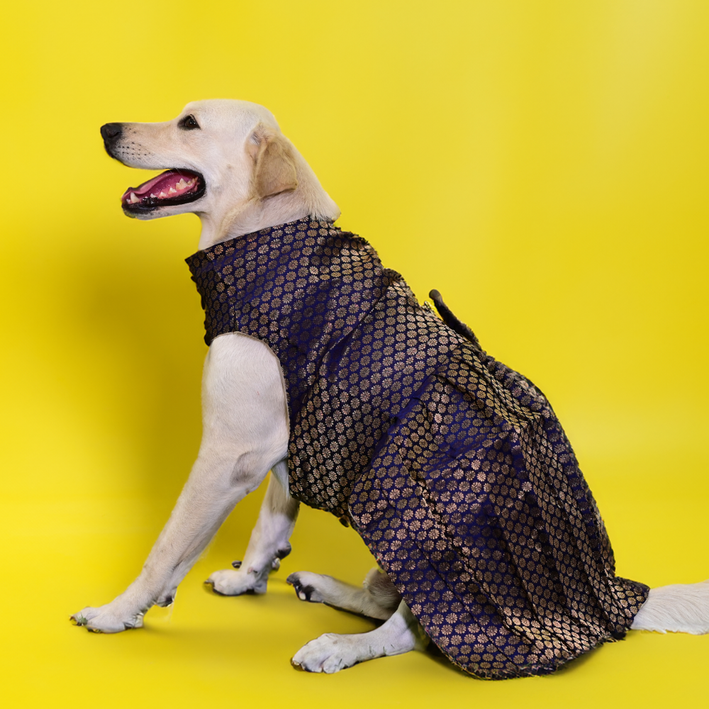Skatrs Brocade Gold Printed Dress for Dogs and Cats (Blue) image 6