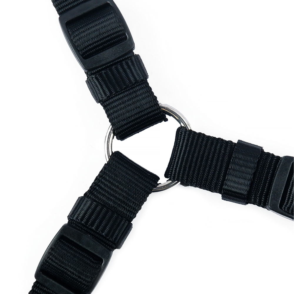 Trixie Classic H Harness for Dogs (Black) image 4
