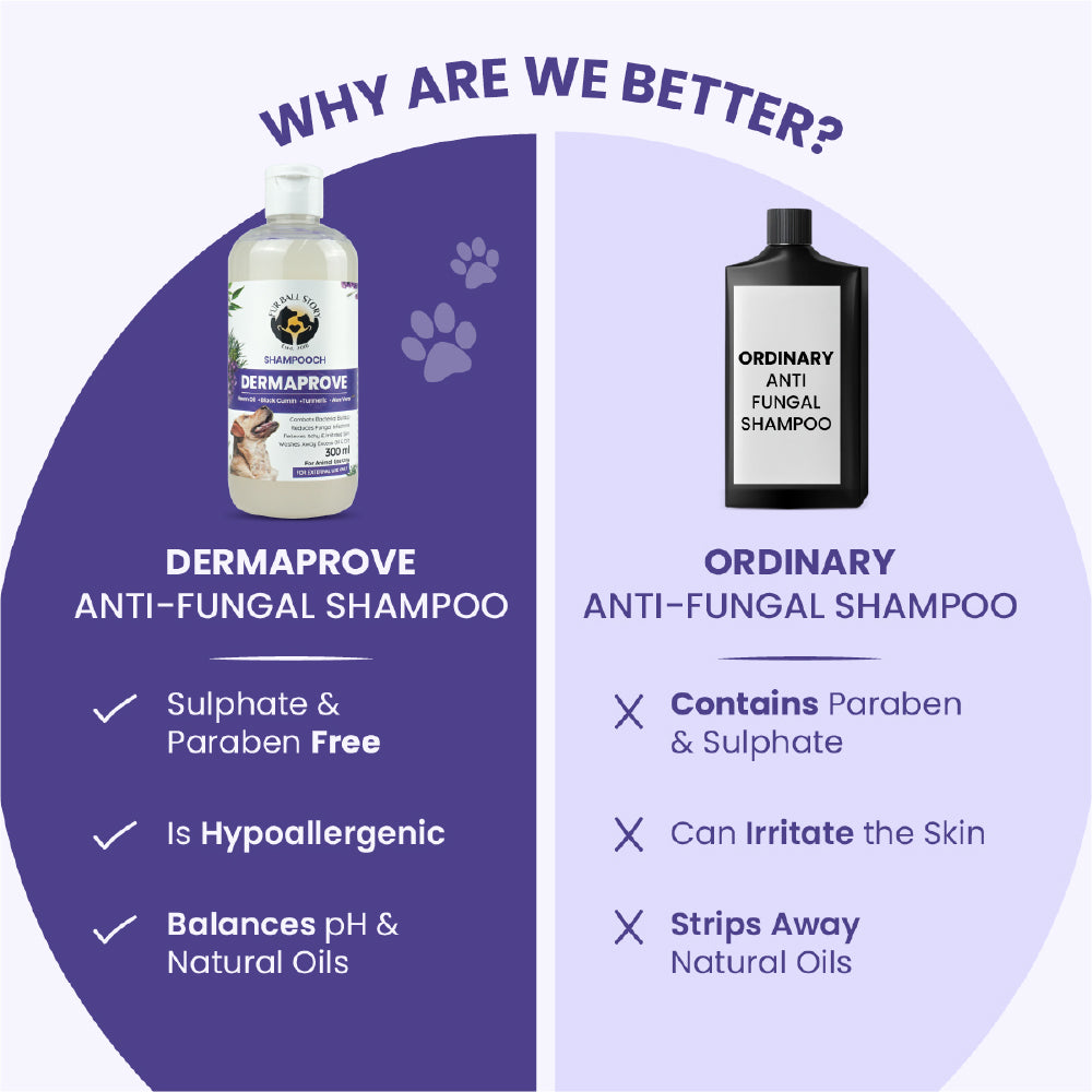 FurBall Story Shampooch Dermaprove Shampoo for Dogs image 6