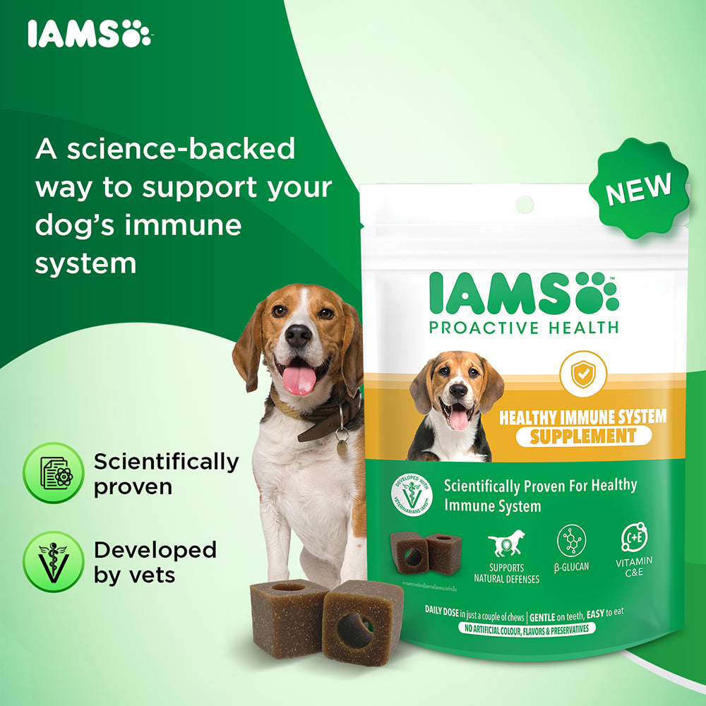 IAMS Proactive Health Dog Supplement For Healthy Immune System image 3