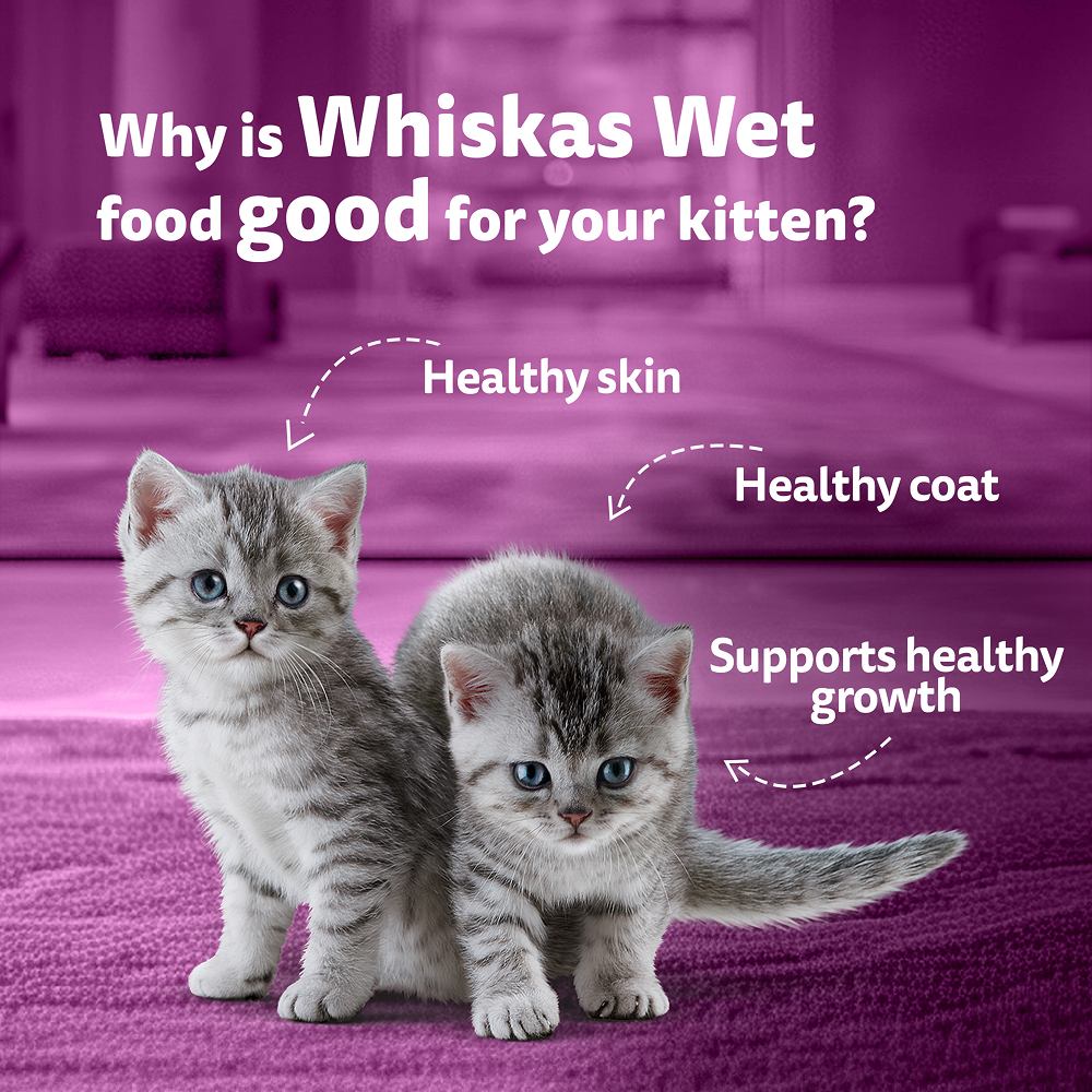 Whiskas Junior Mackerel Flavour Kitten (2-12 months) Cat Wet Food image 6