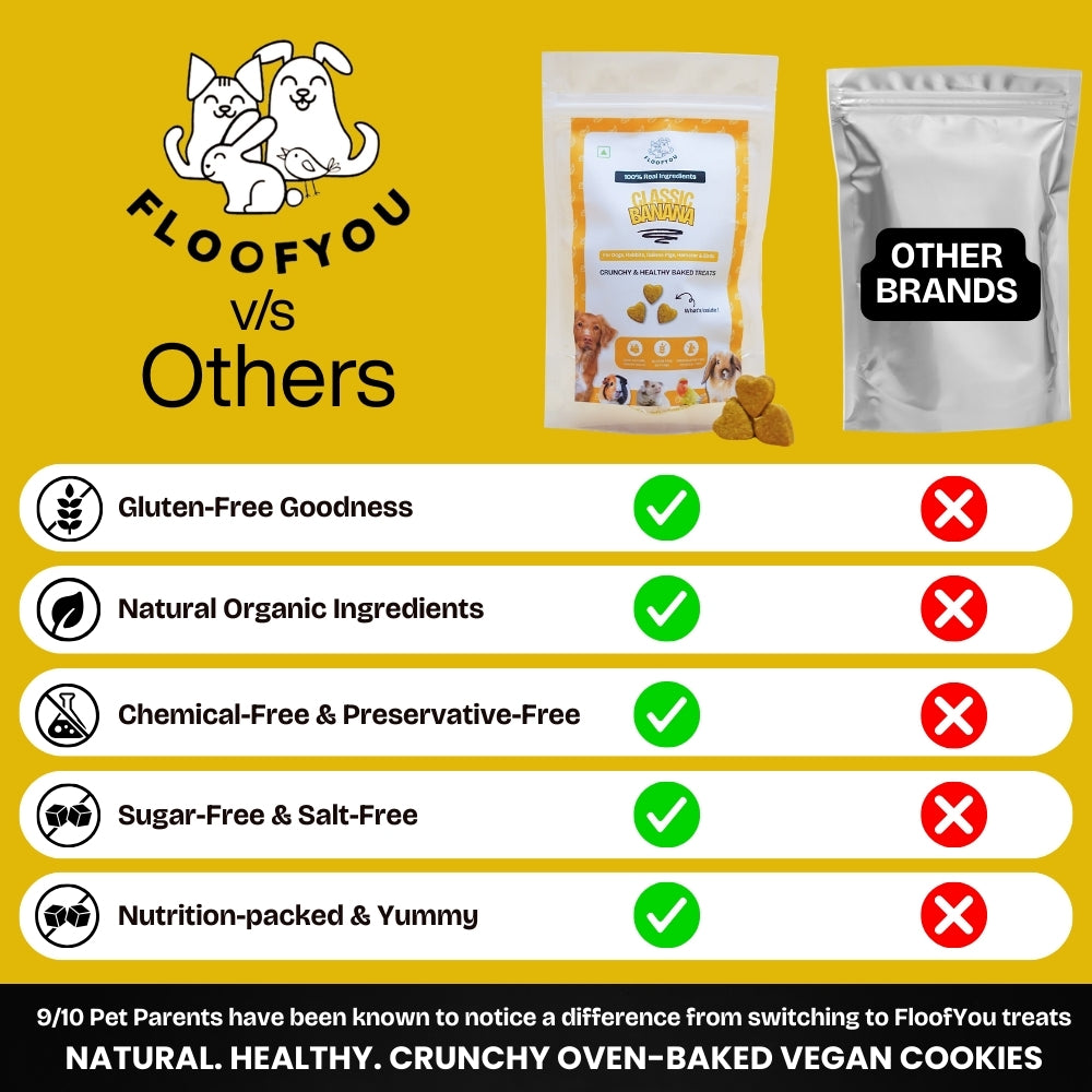 Floofyou Classic Banana Vegan Oven Baked Cookie Dog Treats image 7