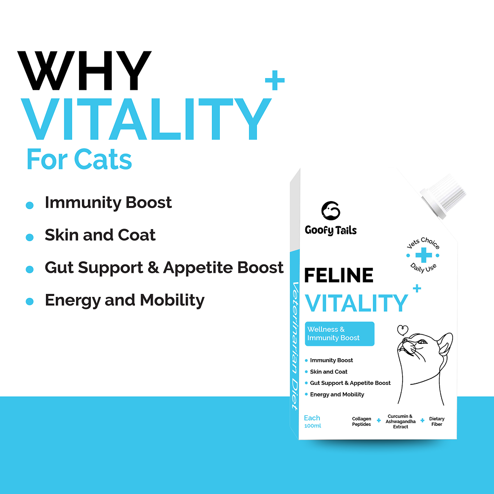 Goofy Tails Chicken Flavoured Feline Vitality + Wellness & Immunity Booster Supplement for Cats image 5