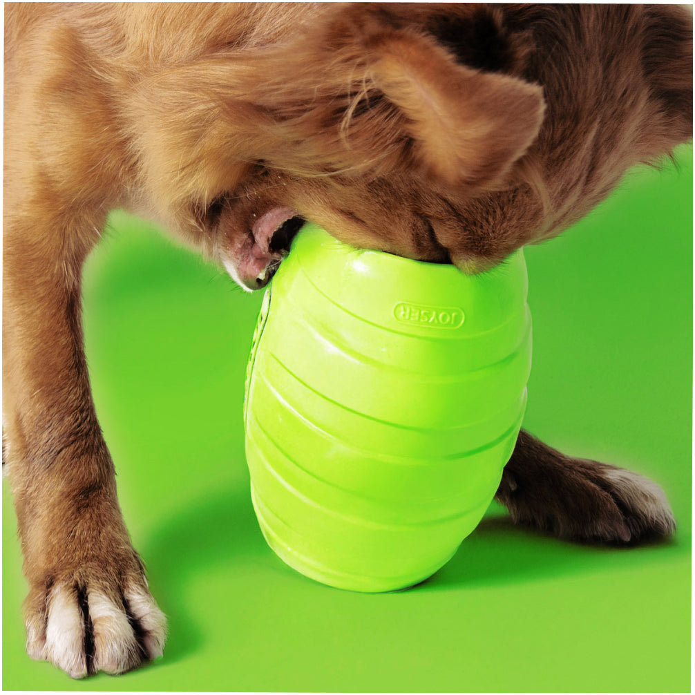 Joyser Active Holebarrel Toy for Dogs (Green) image 7
