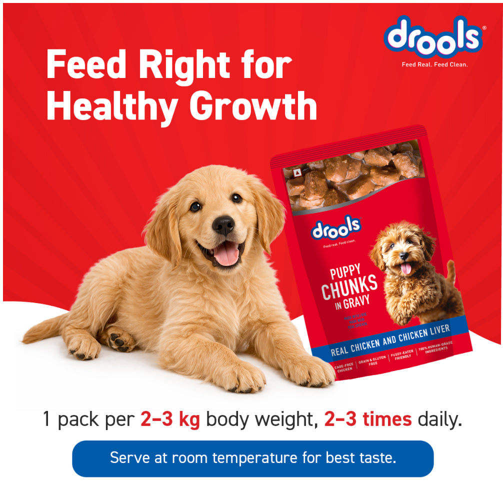 Drools Real Chicken & Chicken Liver Chunks in Gravy Puppy Dog Wet Food image 8