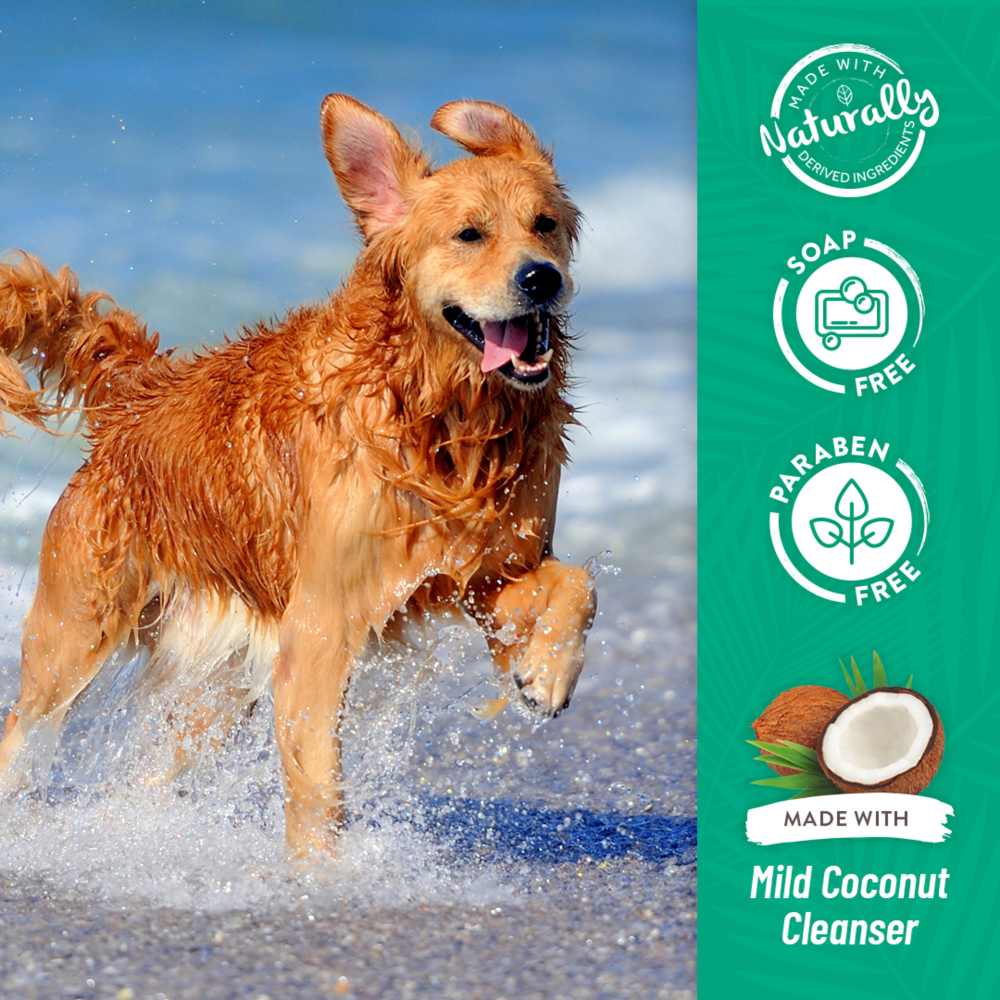 Tropiclean Medicated Oatmeal & Tea Tree Shampoo for Dogs image 9