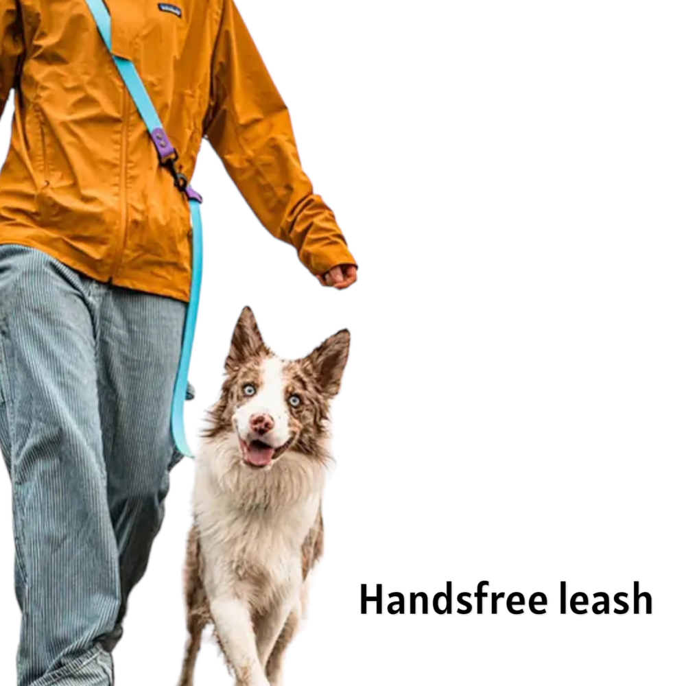 Talking Dog Club Multifunction Handsfree Leash for Dogs (Orange) image 6