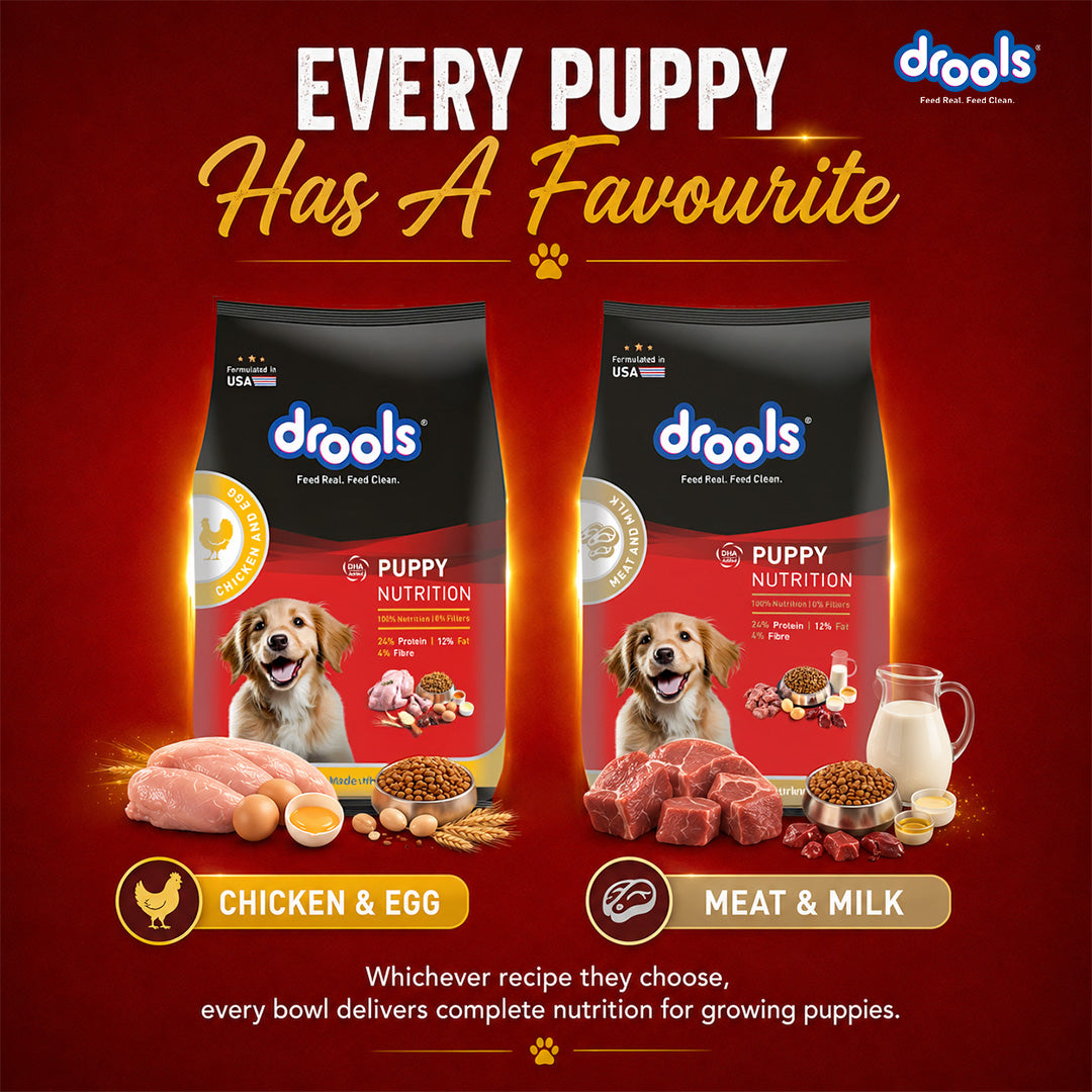 Drools Chicken and Egg Puppy Dry Dog Food with Free Creamy Treat Pouch image 10