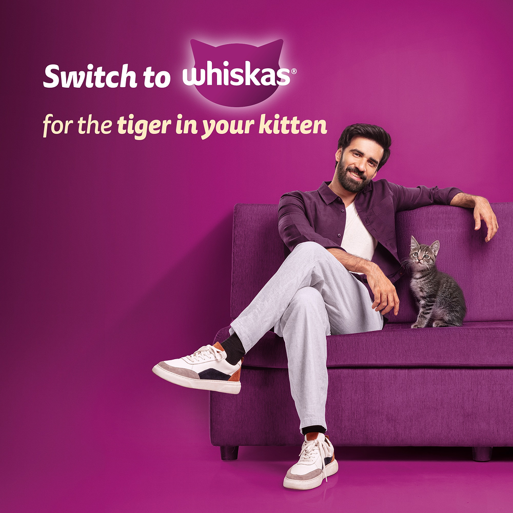 Whiskas Ocean Fish Kitten/Mother and Baby Cat Dry Food image 10