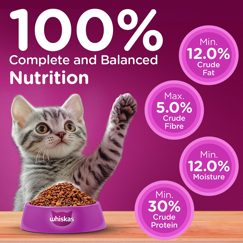 Whiskas Ocean Fish Kitten/Mother and Baby Dry Food & Petkit YumShare Solo Automatic Food Dispenser Combo for Kitten image 9