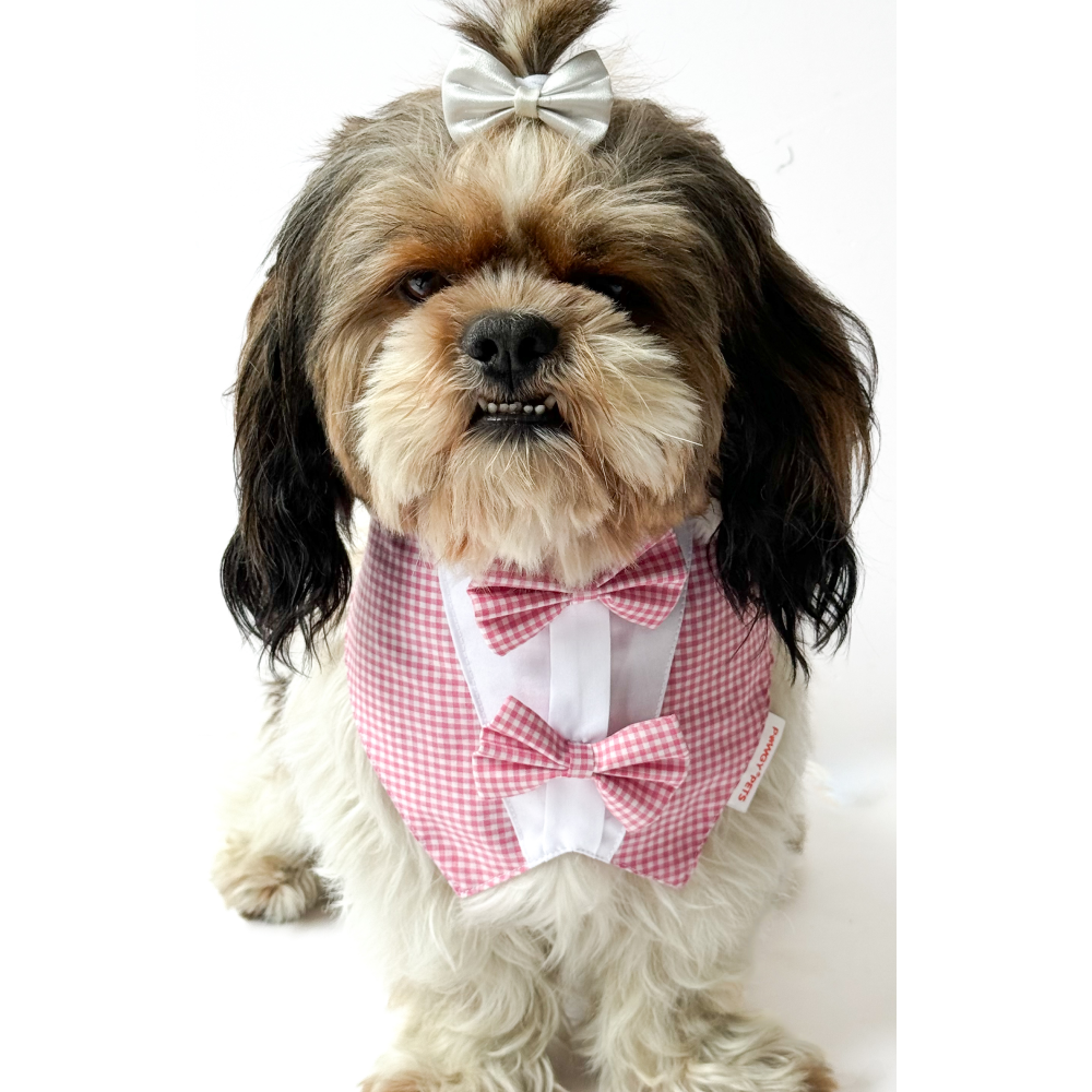Pawgypets Casual Check Bandana for Dogs and Cats (Pink) image 2