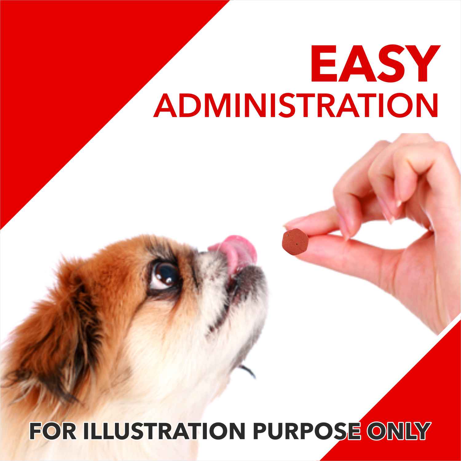 Drools Absolute Vitamin and Absolute Calcium Dog Supplement Tablets Combo image 7