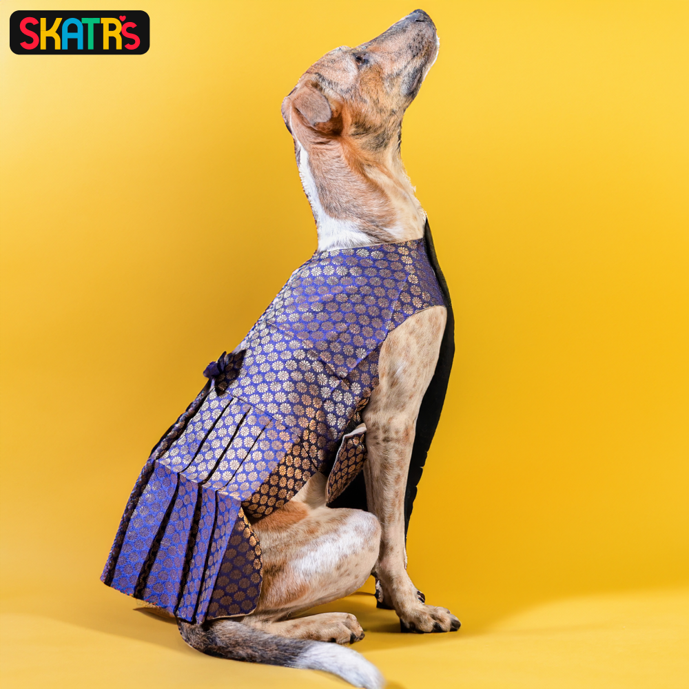 Skatrs Brocade Gold Printed Dress for Dogs and Cats (Blue) image 4
