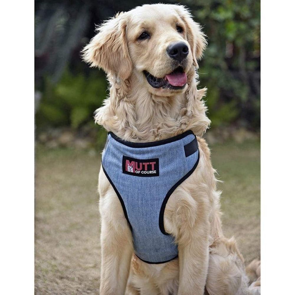 Mutt of Course Denim Harness for Dogs (Light Blue) image 3
