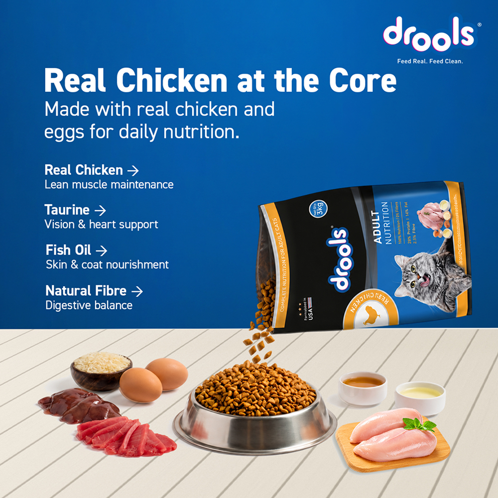 Drools Real Chicken Adult Cat Dry Food image 3