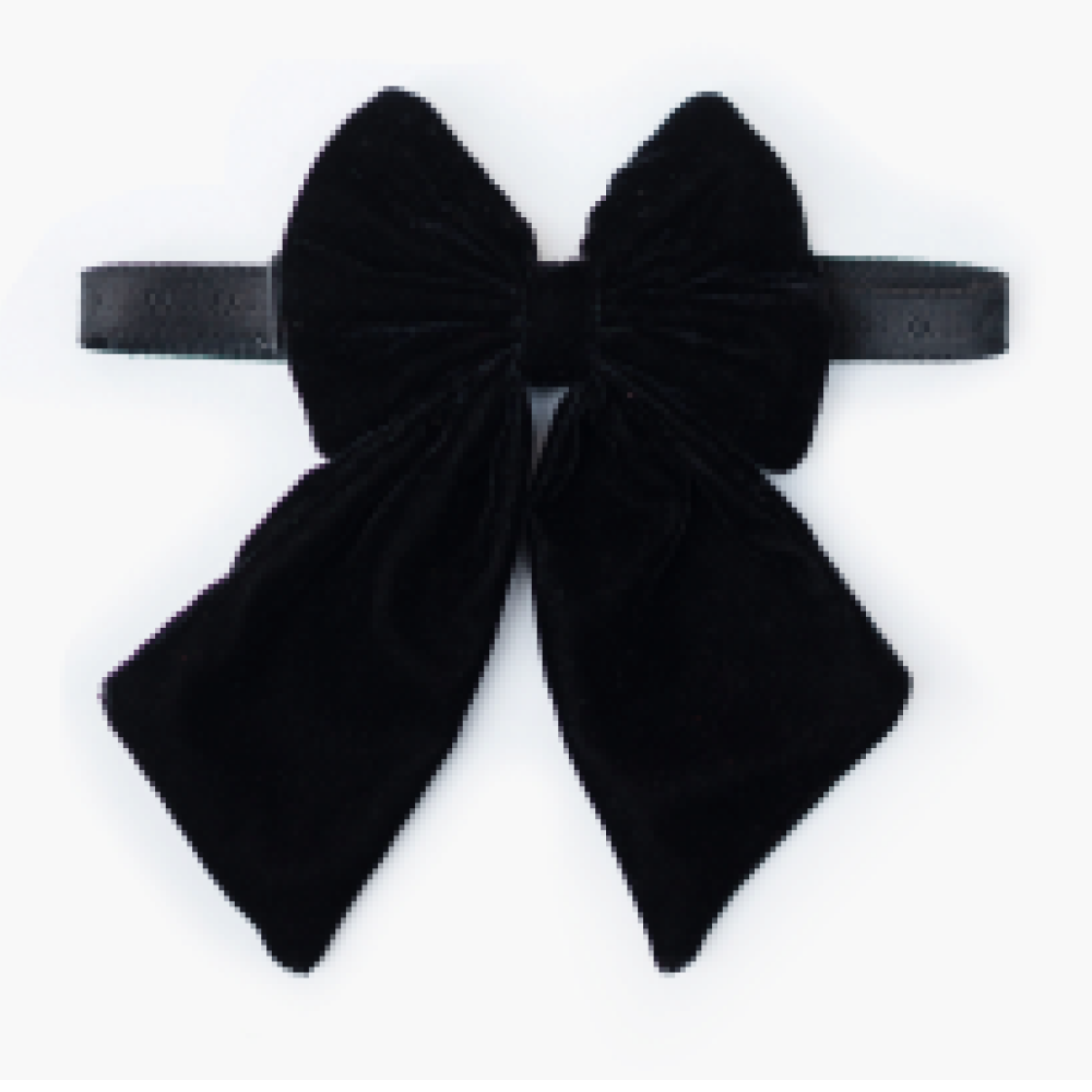 Pawgypets Pigtail Bowtie for Dogs and Cats image 4