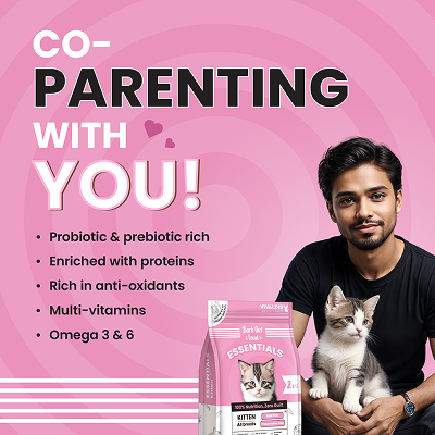 Bark Out Loud Essentials Real Fish Kitten Dry Food image 6