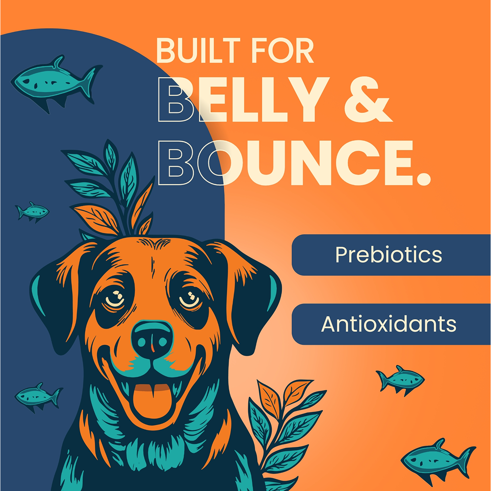 Bark Out Loud Thrive Tuna Flavour Adult Dog Dry Food image 3