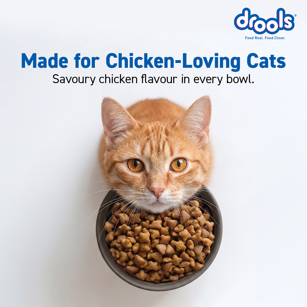 Drools Real Chicken Adult Cat Dry Food image 7