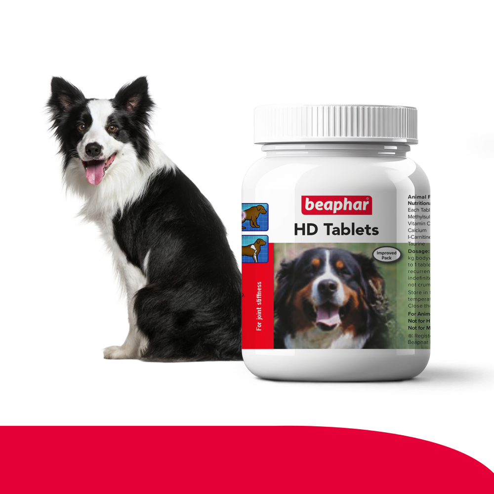 Beaphar HD Hip Dysplasia & Joint Problems Supplement Tablets for Dogs image 2