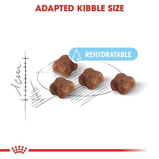 Royal Canin Mother & Babycat Cat Dry Food image 3