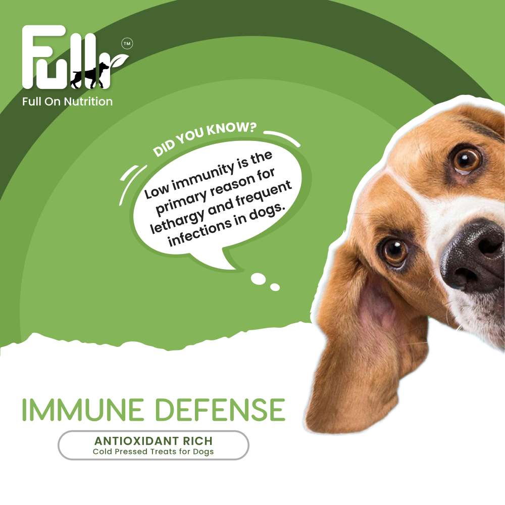 Fullr Immune Defense Cold Pressed Dog Treats image 4