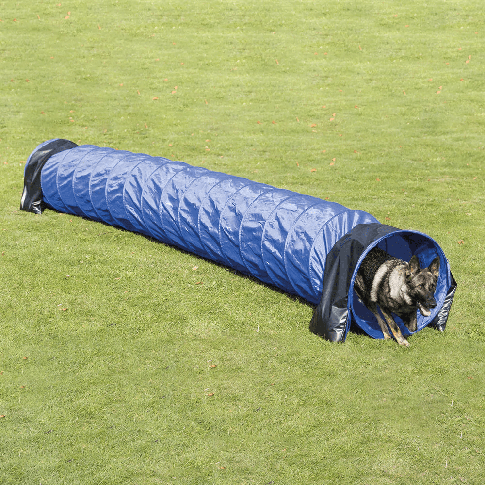 Trixie Dog Agility Basic Tunnel for Dogs (Blue)
