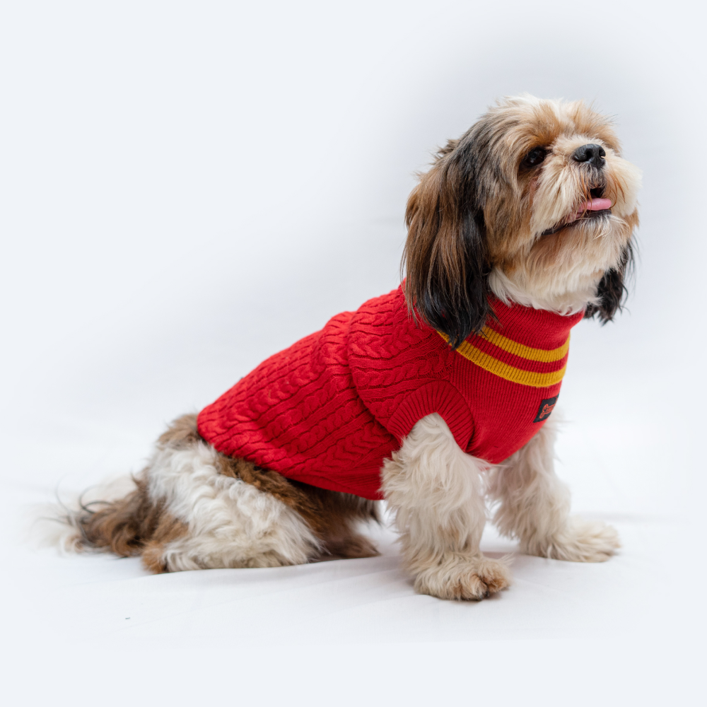 Pawgypets High Neck Cable Kint Sweater for Dogs and Cats (Red) image 4