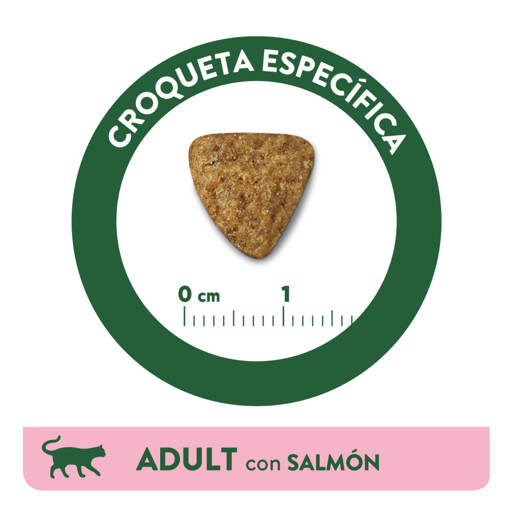 Affinity Libra Adult Cat Salmon Dry Food image 5