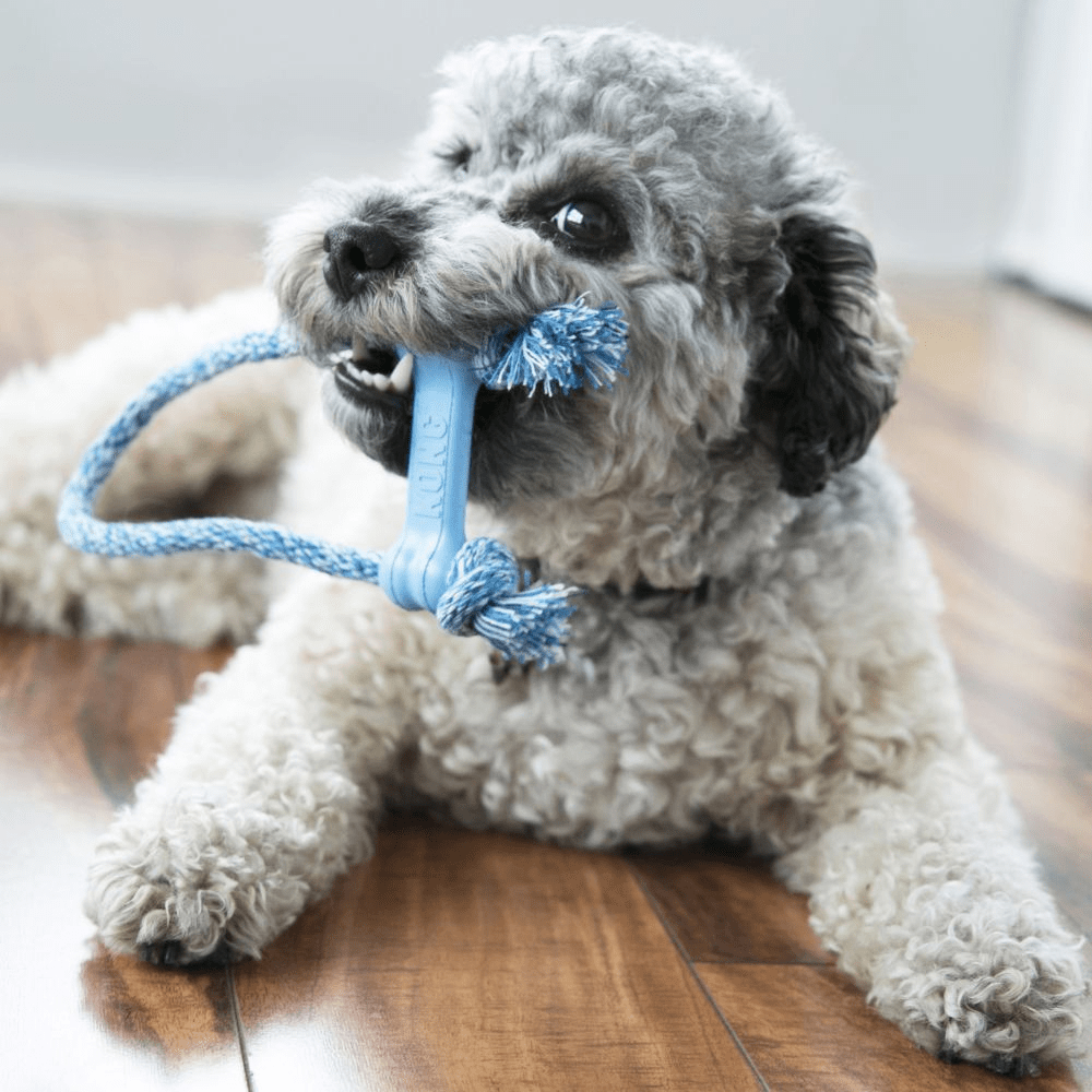 Kong Puppy Goodie Bone Toy with Rope for Dogs image 5