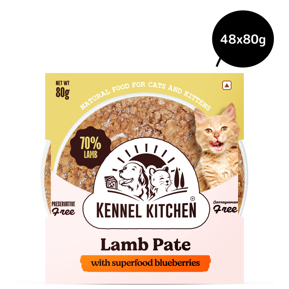 Kennel Kitchen Lamb Pate with Superfood Blueberries Cat Wet Food image 5
