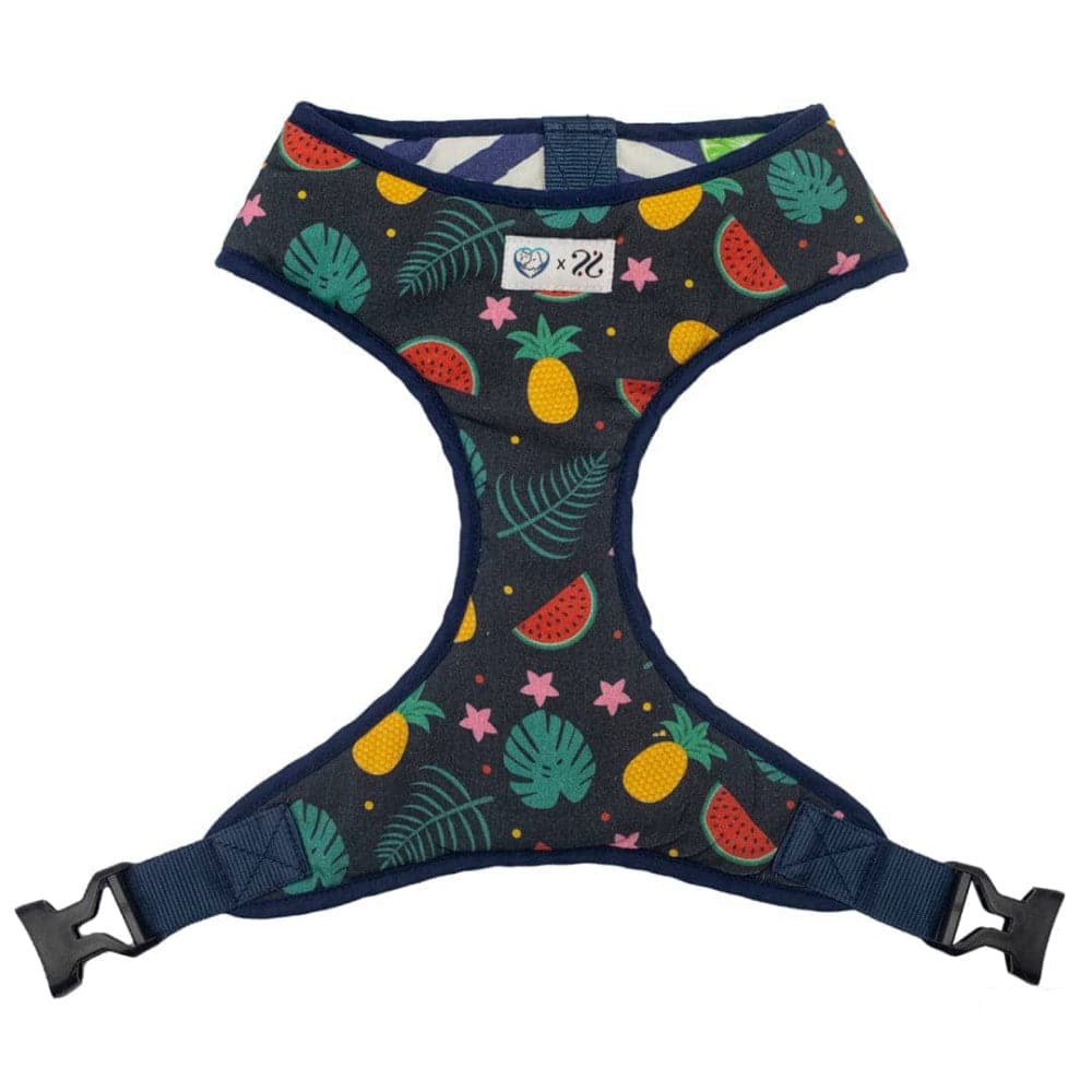 Pet And Parents Fresh Fruit Reversible Harness for Dogs image 2