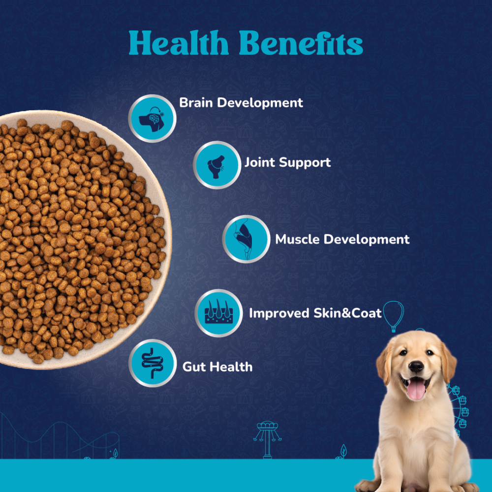 Carniwel Fresh Chicken Kibble Large Breed Puppy Dog Dry Food image 4