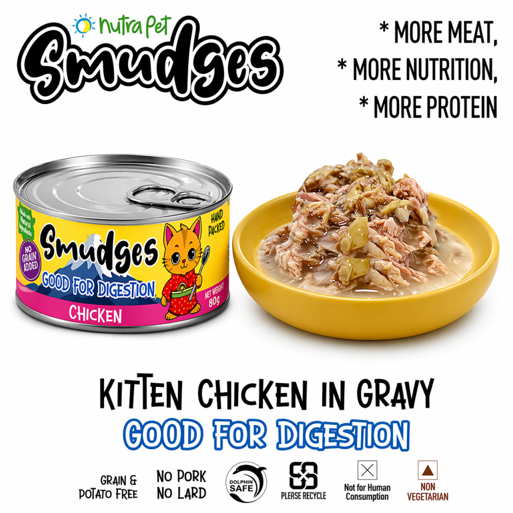Smudges Chicken Shredded in Gravy Kitten Wet Food image 9
