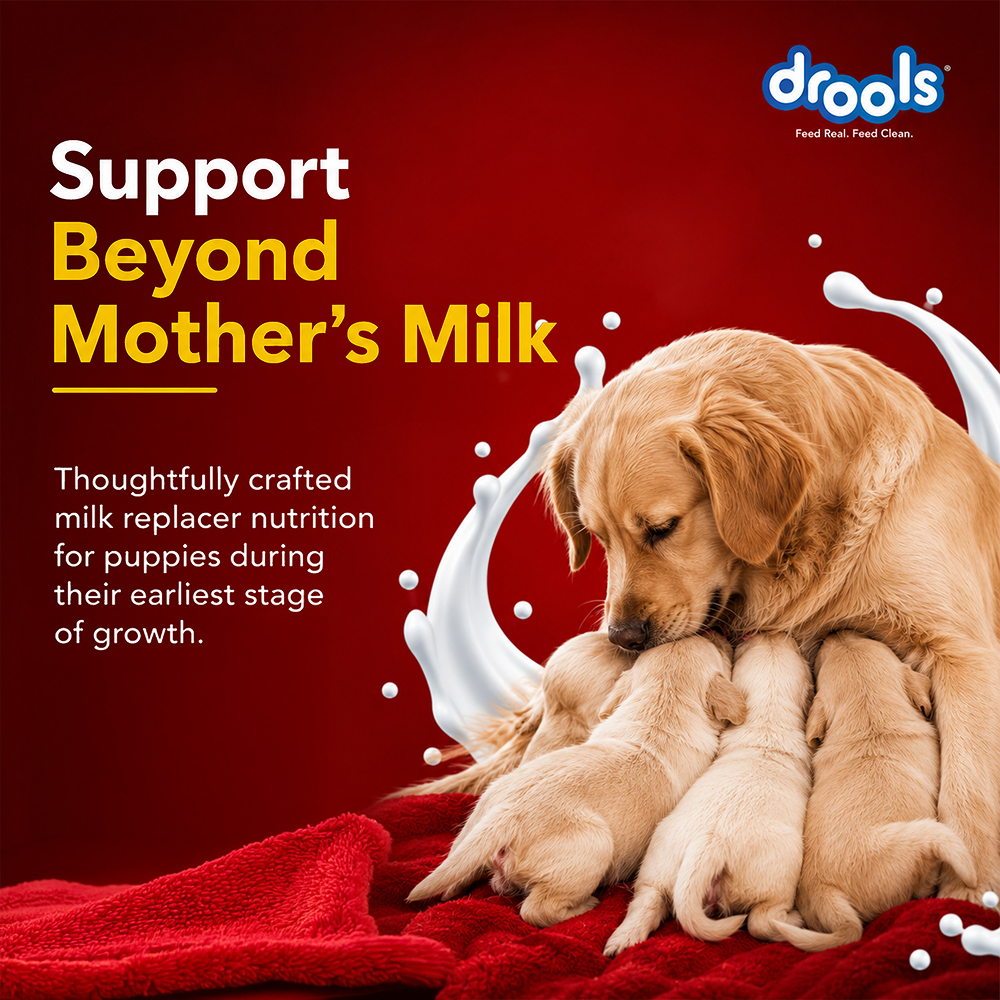 Drools Absolute Milk for Newborn Puppies image 4