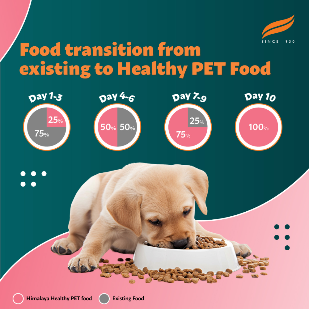 Himalaya Chicken & Milk Healthy Pet Puppy Dry Food image 7