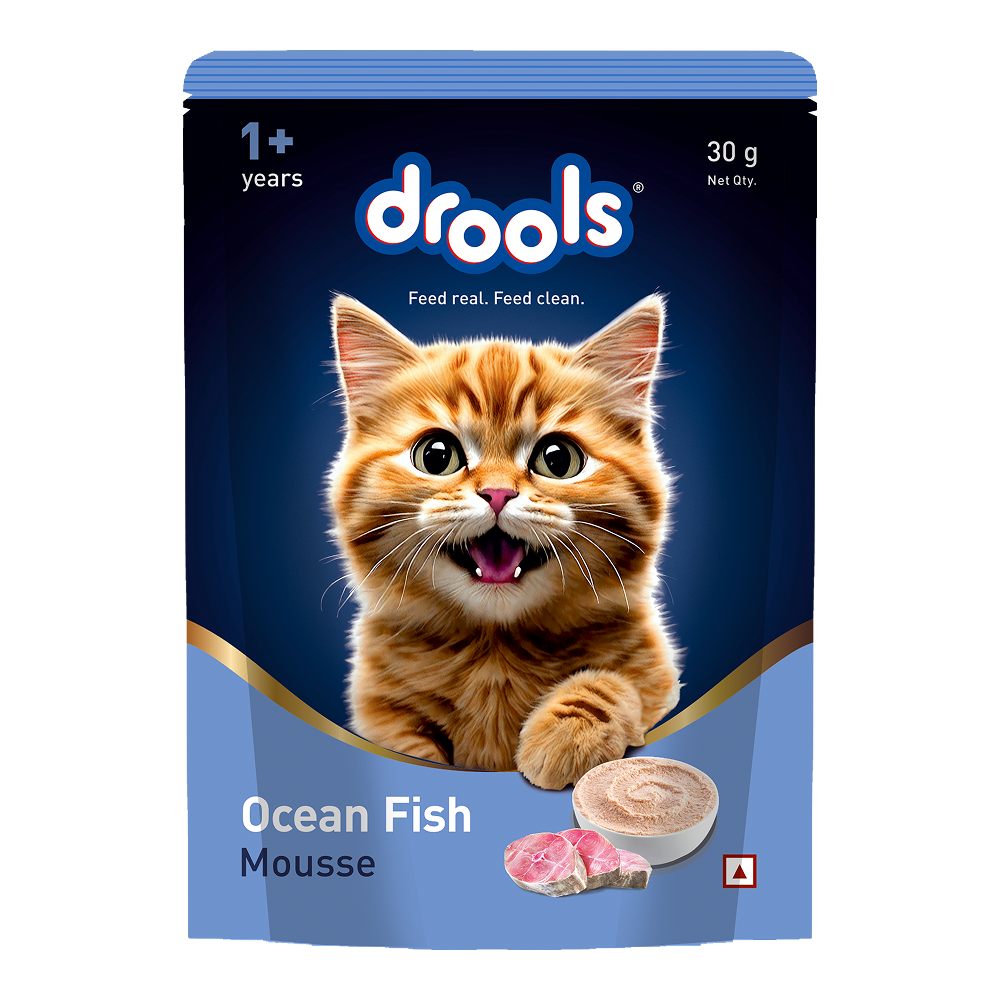 Drools Ocean Fish Mousse Adult Cat Wet Food image 5