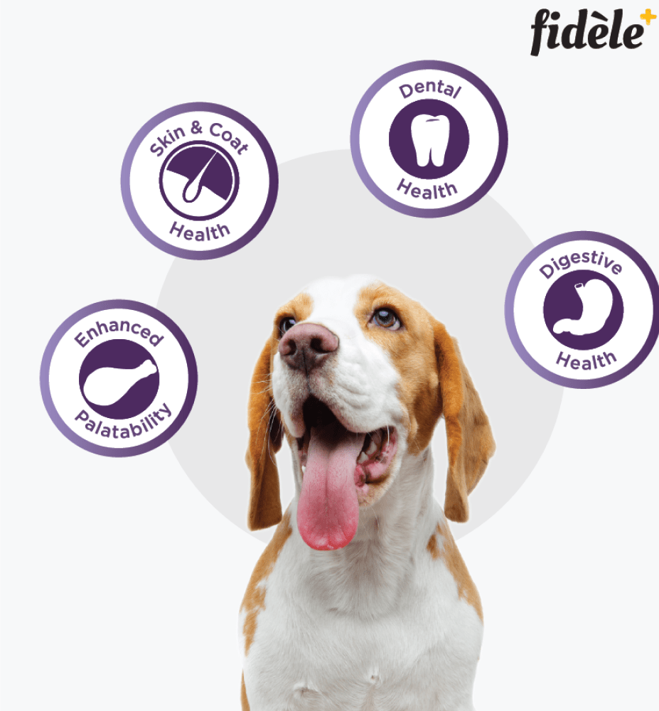 Fidele Plus Adult Small & Medium Dog Dry Food image 8