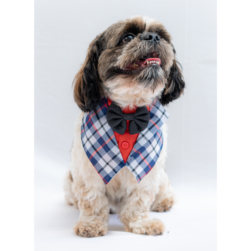 Pawgypets Waistcoat Bandana for Dogs and Cats (Blue) image 4