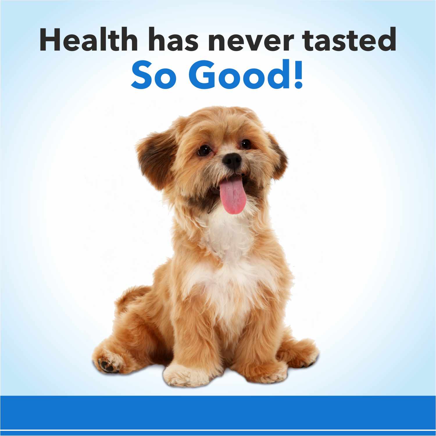 Purepet Chicken Flavor Munchy Sticks Dog Treats image 5