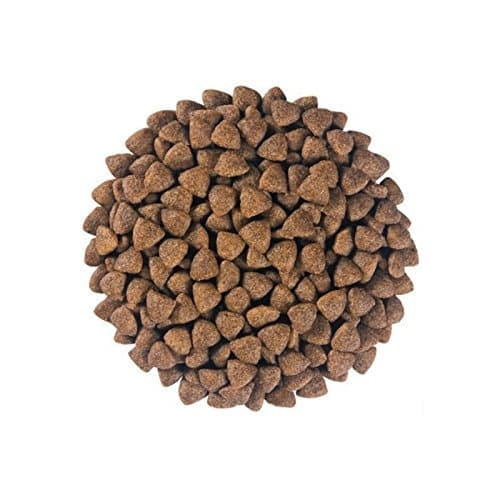Royal Canin Hypoallergenic for Small Dog Dry Food image 3
