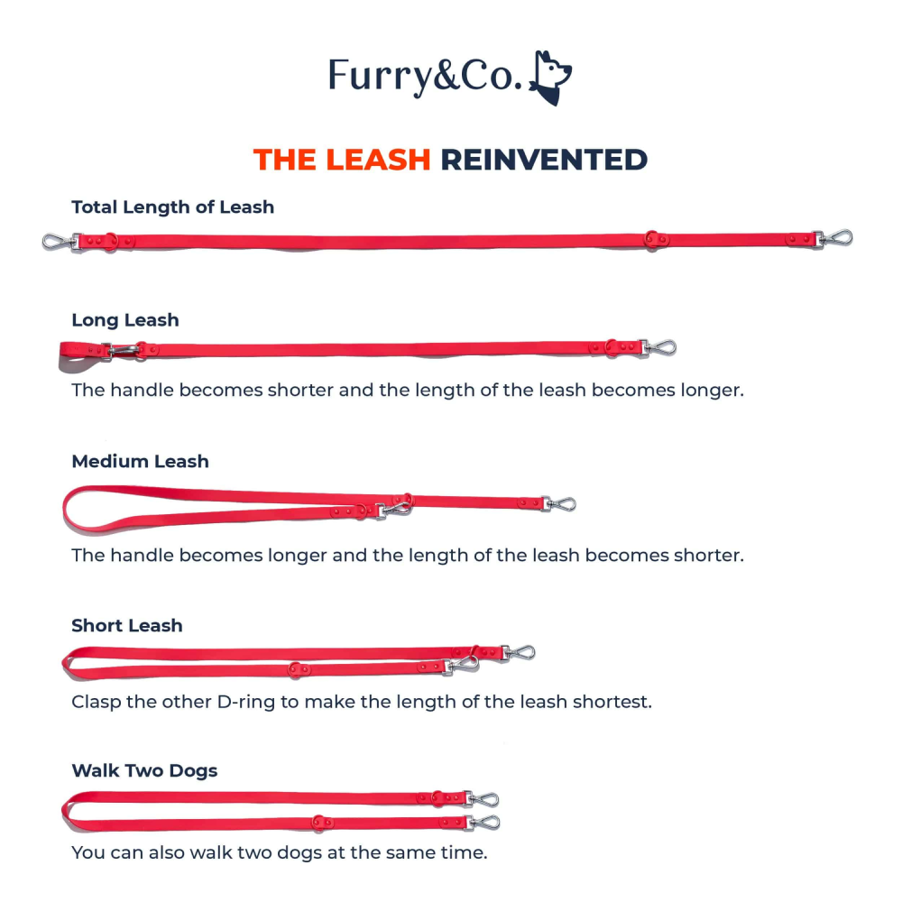 Furry & Co Weatherproof Leash for Dogs (Everest Blue) image 4