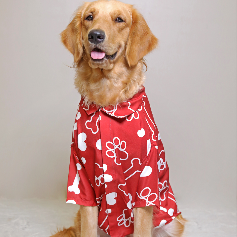15 Furries Paws-itive Shirt for Dogs