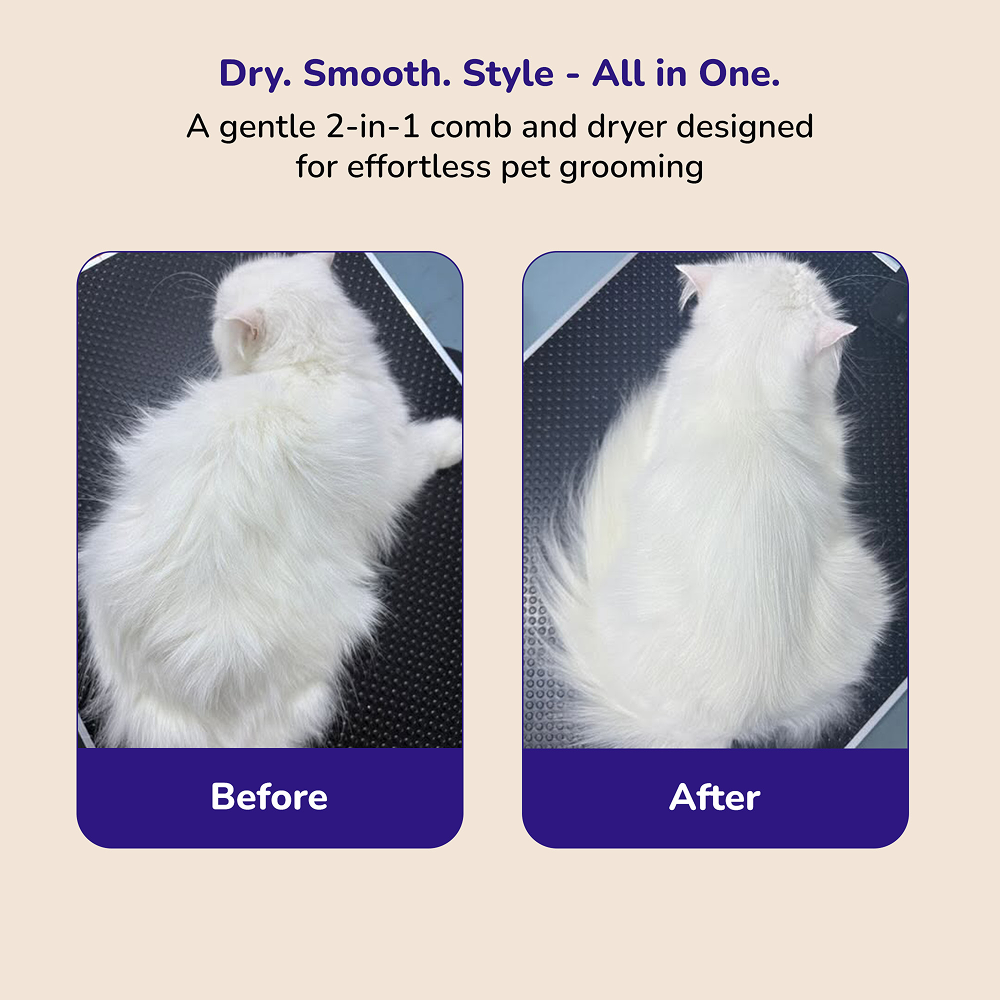Petverse 2 in 1 Hair Drying & Hair Brush for Dogs & Cats image 6