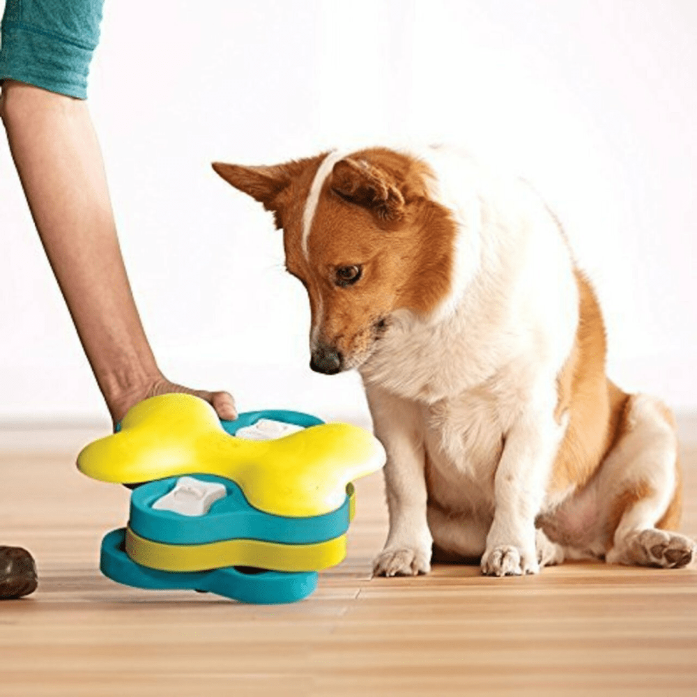 Outward Hound Nina Ottosson Dog Tornado Game for Dogs (Level 2 Intermediate) image 6