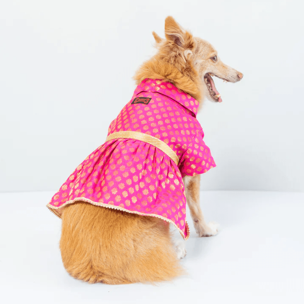 Pawgypets Occasion Wear Dress for Dogs and Cats (Pink) image 2
