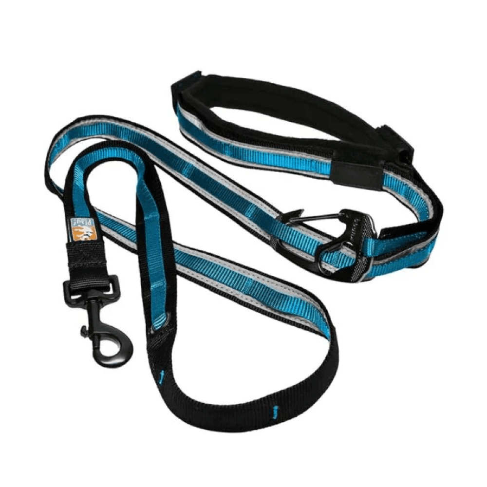 Kurgo Quantum 6 in 1 Dog Reflective Leash (Coastal Blue) image 7